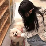 防御传奇3未来战争正式版下载